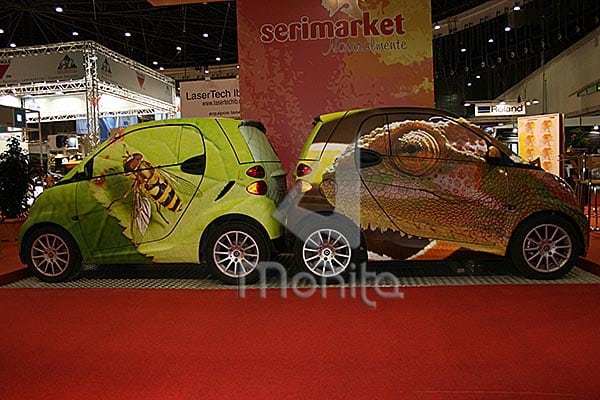 MOÑITA rotulación en coches